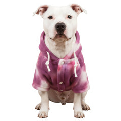 Sudadera Mklhgty para perro pequeño, frente, uso diario.