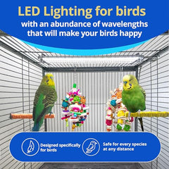HappyBird se instala fácilmente en la jaula y está lista para usar.