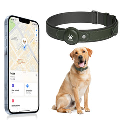 MODUS localizador de posicionamiento global para perros en collar muestra ubicación en tiempo real.