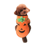 Disfraz Mogoko con capucha de calabaza para mascotas, ideal para Halloween y fotos