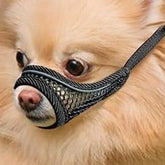 MoiiLavin bozal para perro pequeno frente, cómodo para paseos diarios