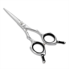 Tijeras Momotou para peluquería canina, enfoque plano y precisión.