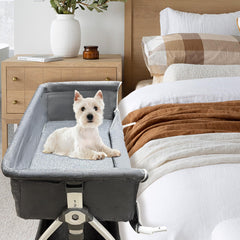 Montex cama para perros con ruedas para mover entre habitaciones