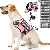 MOOGROU arnés para perro reflectante, ideal para paseos nocturnos.