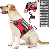 MOOGROU arnés para perro de servicio con ajuste cómodo para entrenamiento diario.