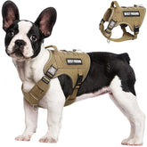 MOOGROU arnés táctico para perro pequeño, vista frontal; ideal para paseos seguros.