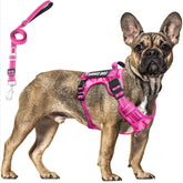 MOOGROU chaleco para perro de servicio vista frontal, ajuste cómodo para razas grandes.