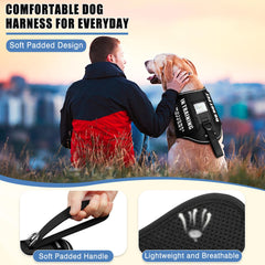 MOOGROU parches-adhesivos-para-perro: señales visibles para entrenamiento.