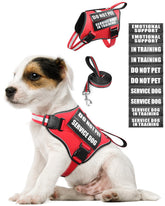 MOOGROU arnés-vest frontal, cómodo para perros de servicio en entrenamiento