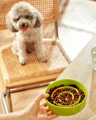MOPANG diseño puzzle laberinto cerámico para perros pequeños, mejora la experiencia de comida.