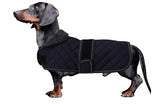 Morezi abrigo dachshund, enfoque en resistencia al agua, perfecto para paseos bajo la lluvia.