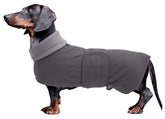 Morezi abrigo dachshund gris, vista frontal, protección contra viento