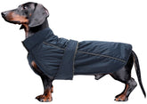 Morezi chaleco para perro salchicha impermeable, protegiendo durante paseos.