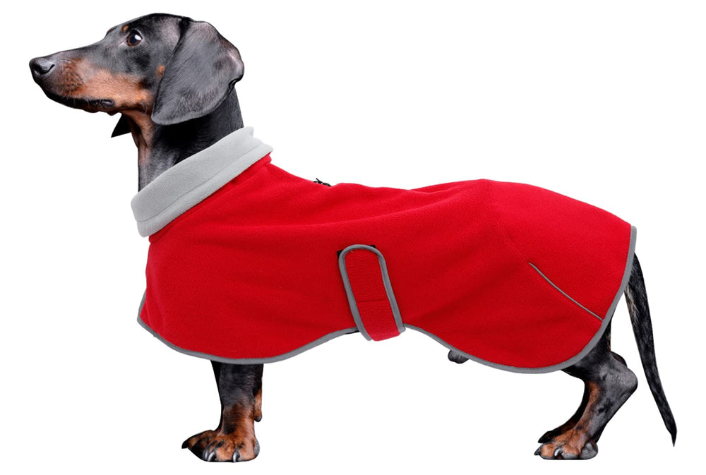 Abrigo Morezi dachshund para paseos fríos, vista frontal