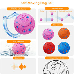 Morhandisn bola perro rodante para juego activo y curioso.