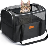 Morpilot transportín gato espacio amplio para viajar cómodo