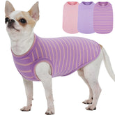 MORVIGIVE 3pack de suéteres para perros pequeños en rosa, listo para paseos