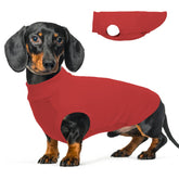 Chaleco MORVIGIVE para perro visto de frente, cálido y cómodo para paseos.