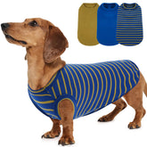 Morvigive chaleco polar para perro azul talla M, ideal para paseos fríos