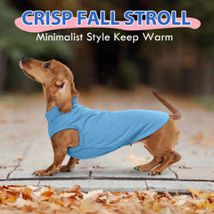 Morvigive diseño elástico para perro azul talla M, ajuste cómodo para movimiento.