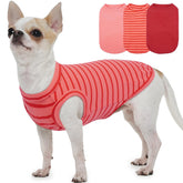 Morvigive set de suéteres fleece para perros pequeños en rojo, cómodo para paseos