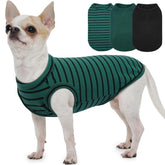 MORVIGIVE tres sudaderas para perros pequeños, ideal para paseos y descanso.