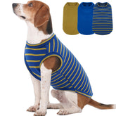 Morvigive trío de sudaderas para perro mediano en azul con rayas, ideal para salidas diarias.