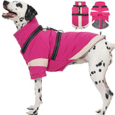 MORVIGIVE XL capa para perro con arnés integrado, ideal para paseos seguros.