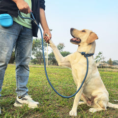 MORXIL para perros grandes, 6 ft, agarre cómodo y control firme
