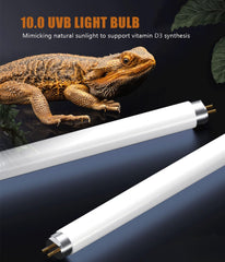 MouMouPurr bombilla UVB-T5 12pulgadas para dragones barbudos, promueve luz natural.