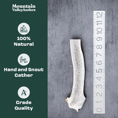 Mountain Valley Antlers para perros, masticación prolongada.