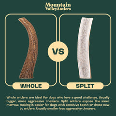Mountain Valley Antlers para perros, talla grande para razas grandes.