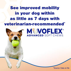 Movoflex: empaque con dos frascos para perros menores de 18 kilos, fácil de almacenar.
