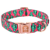 MR. CHUBBYFACE collar perro cactus rosa cómodo para paseos diarios