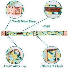 MR.CHUBBYFACE collar estampado limón: estilo único para su perro