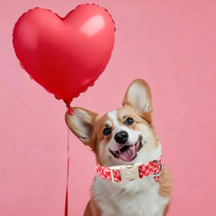 MR.CHUBBYFACE collar perro diseño Valentín con corazones, perfecto para ocasiones.