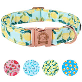 MR.CHUBBYFACE collar perro limón verde: cómodo, ligero para paseos