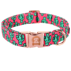 MR.CHUBBYFACE collar perro rosa cactus: estilo veraniego y cómodo para paseos.