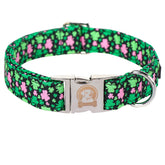 Collar MR.CHUBBYFACE con trébol ajustable para paseos cómodos y festivos