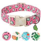 Collar MR.CHUBBYFACE para San Patricio en rosa, cómodo y seguro.