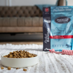 Mezcla crujiente de croquetas y trozos en Muenster Perfect Balance para perro activo.