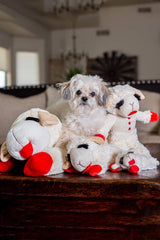 Multipet Lamb Chop con sonajero incorporado para mayor entretenimiento.