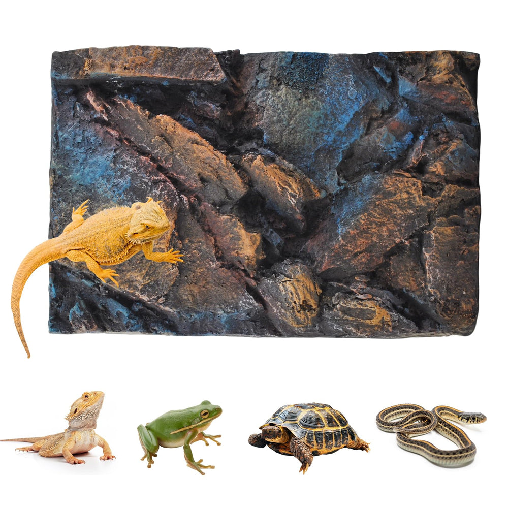 MUYG fondo 3D de roca para terrario, crea profundidad natural