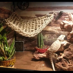 MUYG hamaca para reptil triangular, soporte estable y cómodo.