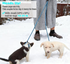 Mycicy acoplador para dos perros sin enredos, ideal para paseos.