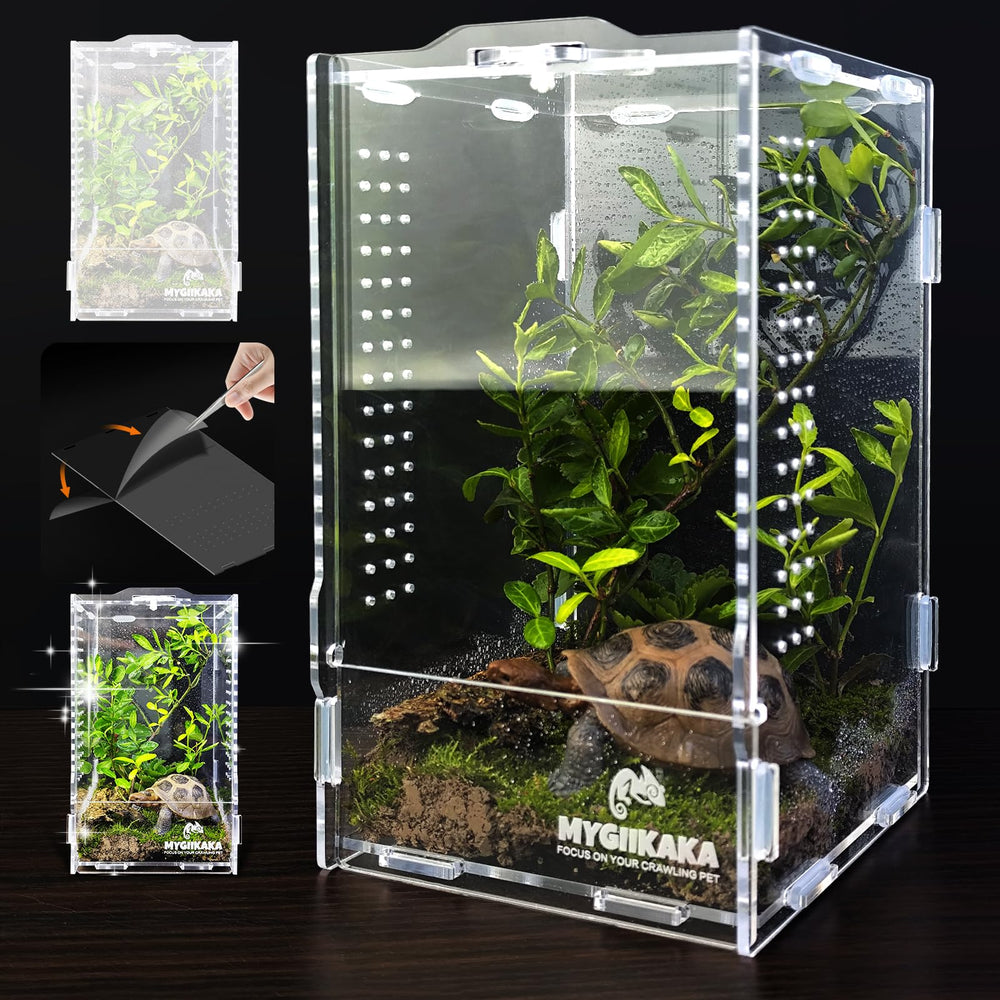 MYGIIKAKA habitat-aracnido-acrilico, observación clara para arañas y crías sin abrir el tanque.