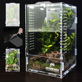 MYGIIKAKA habitat-aracnido-acrilico, observación clara para arañas y crías sin abrir el tanque.