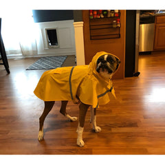 NACOCO capa de lluvia para perros grande, detalle de capucha para protección adicional.