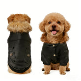 Vista frontal de la chaqueta NAMSAN para perro pequeño, ideal para paseos diarios.