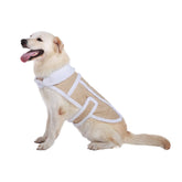 Namsan chaqueta perro sherpa frente, abrigo cálido para paseos diarios.